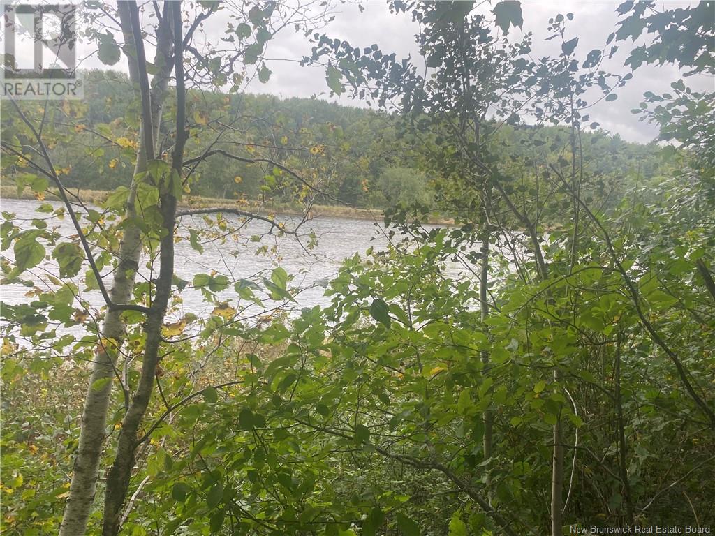 Photo 5 of 8562 Sqm Cains River Road, Upper Blackville NB