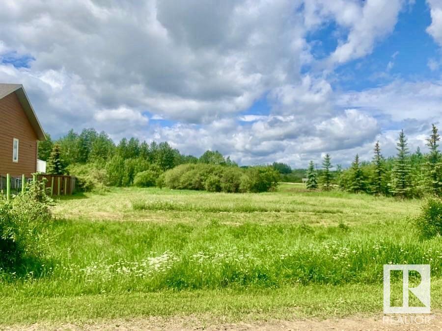 Photo 1 of 433 Swedberg St, Rural Wetaskiwin County AB