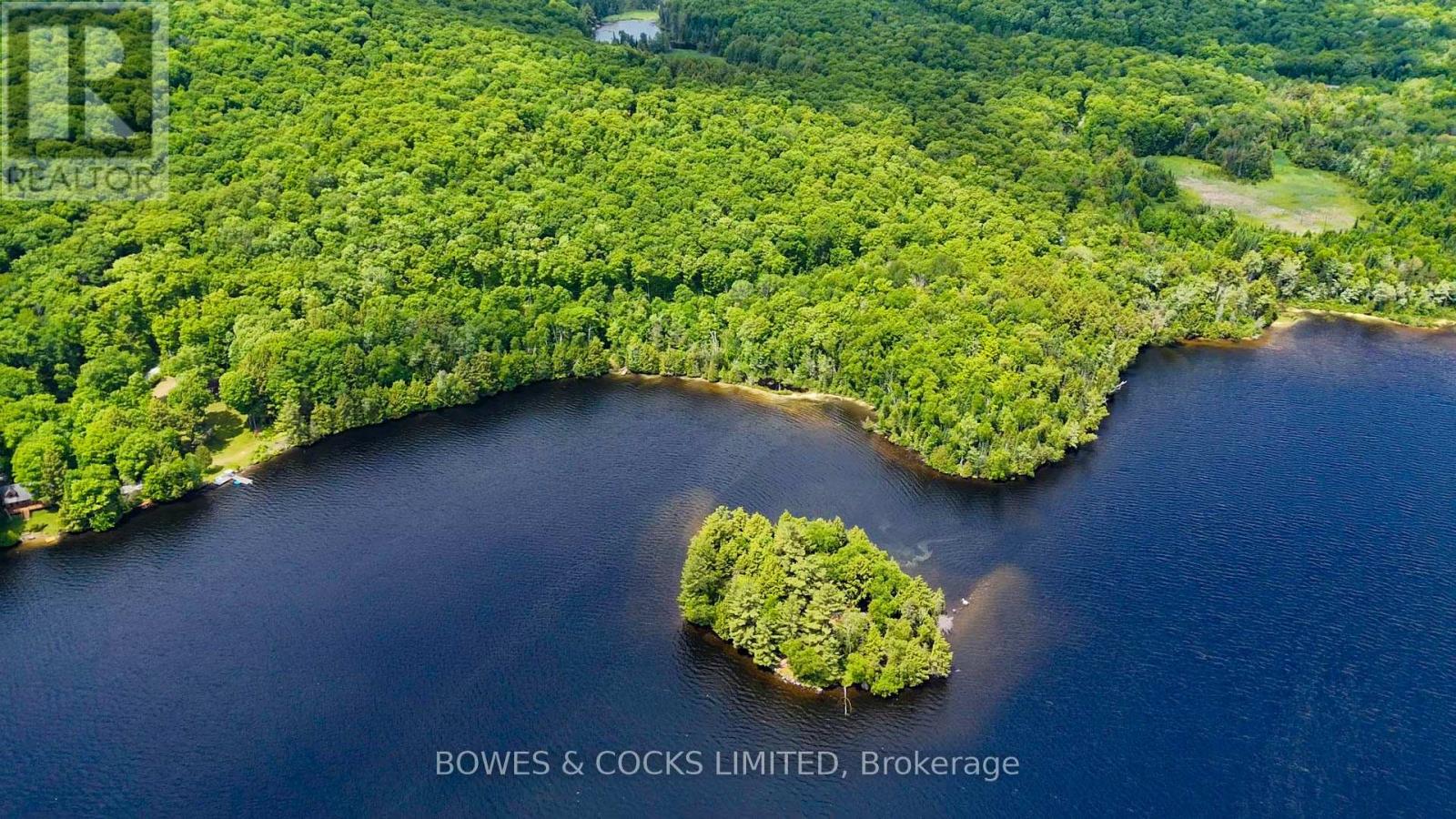 Photo 3 of 1117 Thunderbird Lane Birch Island, Highlands East ON