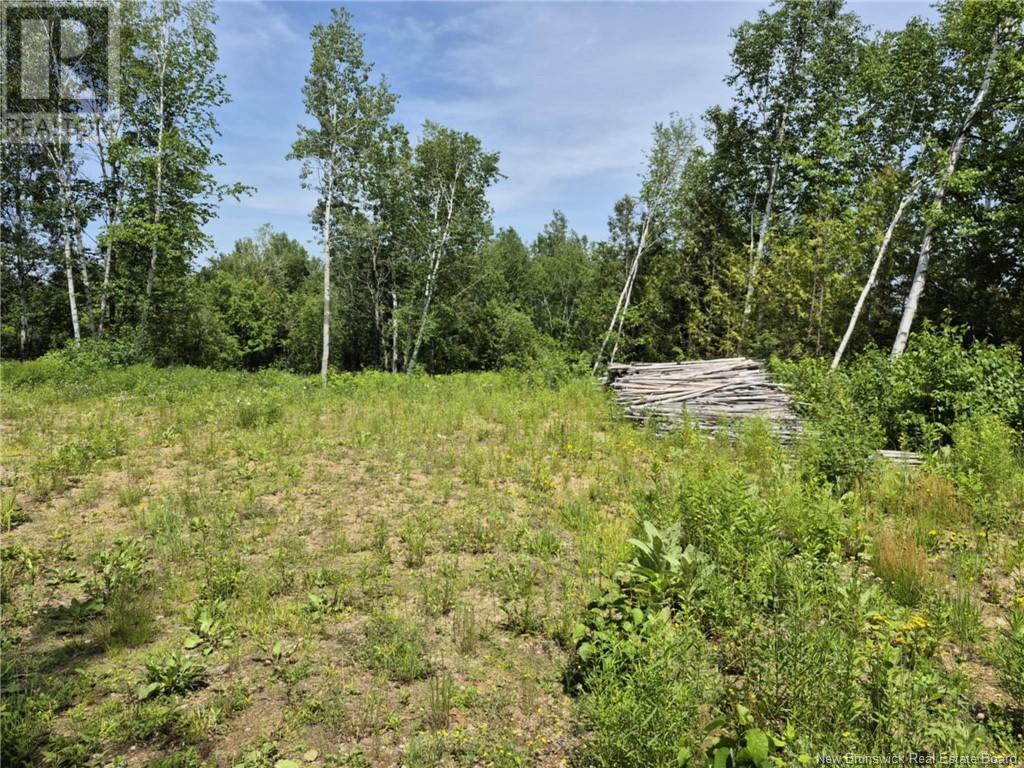 Photo 2 of 1 Acres Rue Amos, Sainteanne NB
