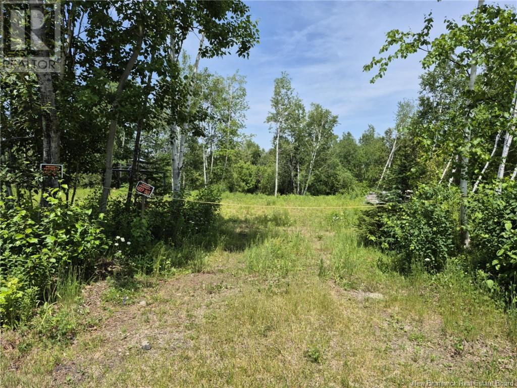 Photo 3 of 1 Acres Rue Amos, Sainteanne NB