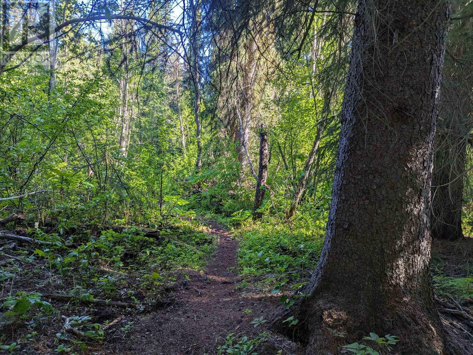 LOT A HUDSON BAY MOUNTAIN ROAD, Smithers