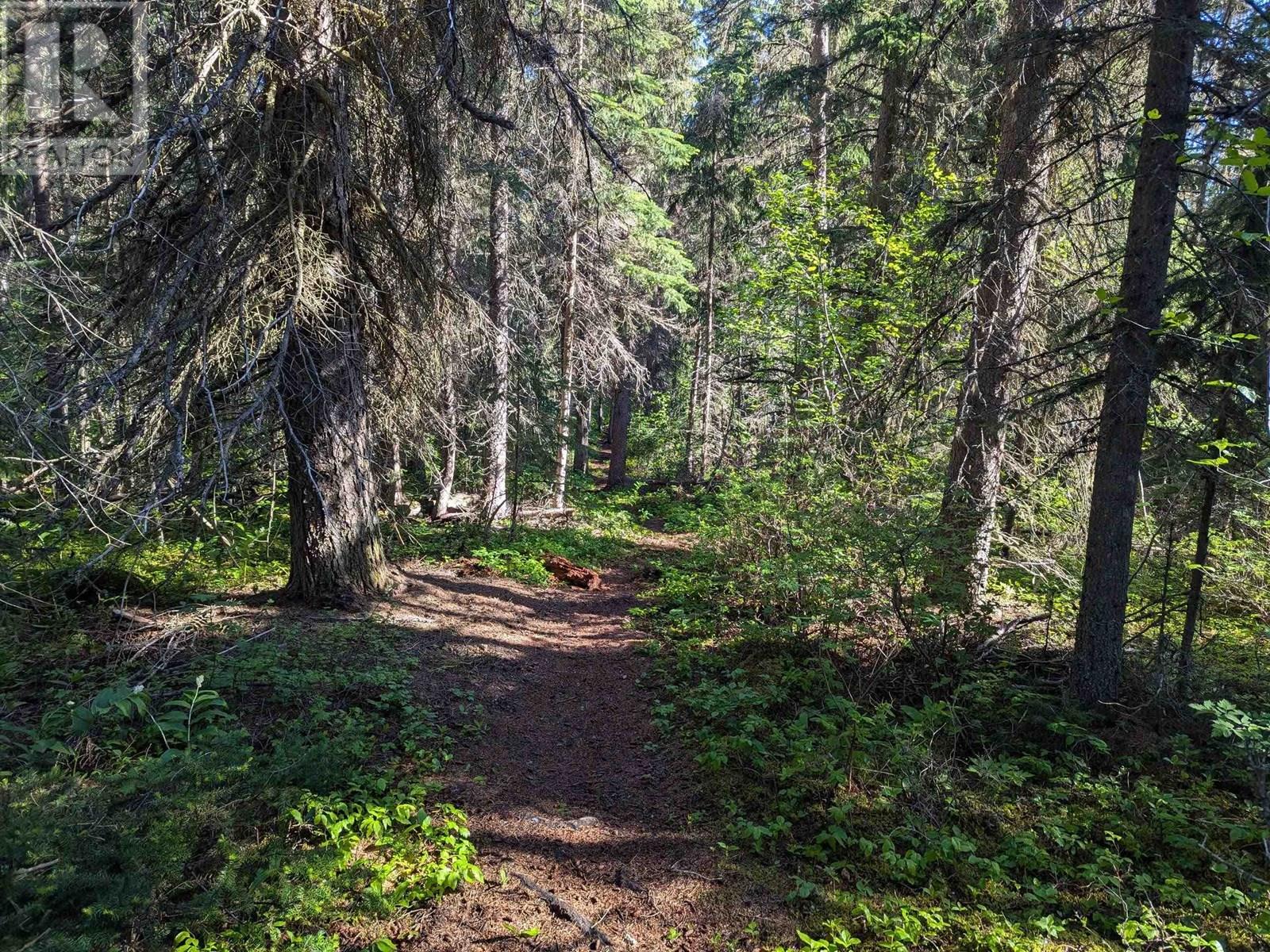 LOT A HUDSON BAY MOUNTAIN ROAD, Smithers