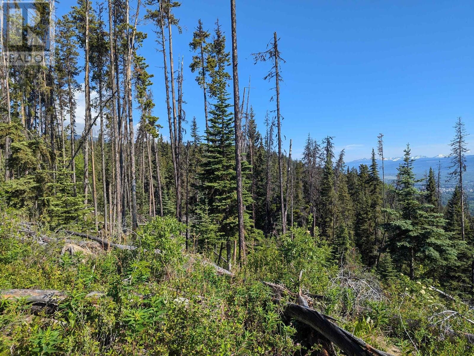 LOT A HUDSON BAY MOUNTAIN ROAD, Smithers