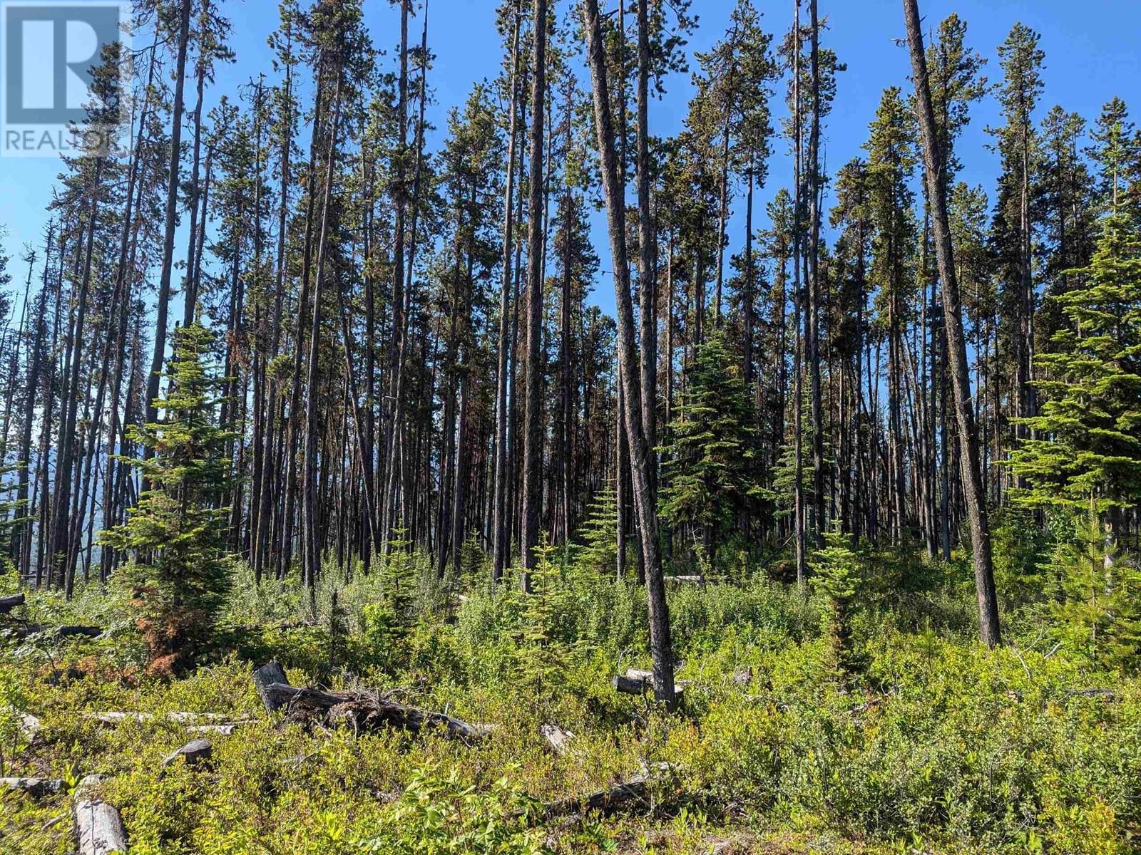 LOT A HUDSON BAY MOUNTAIN ROAD, Smithers