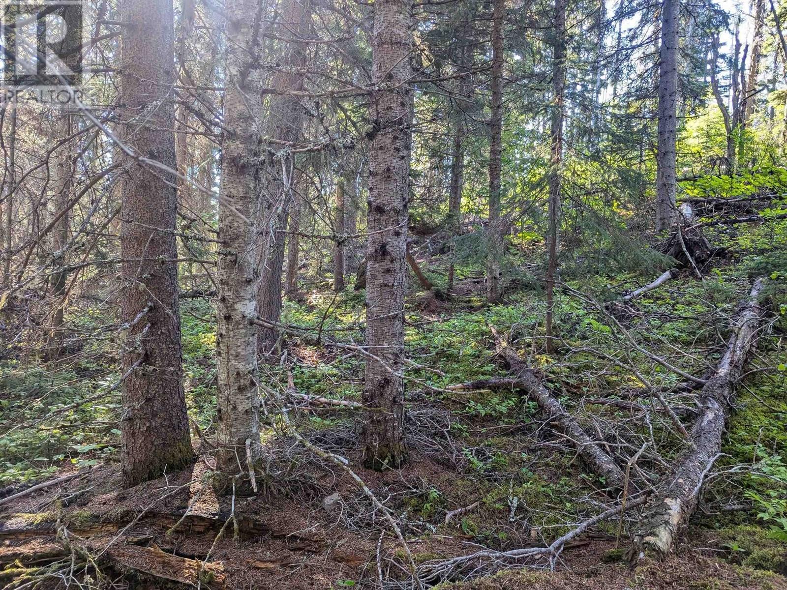 LOT A HUDSON BAY MOUNTAIN ROAD, Smithers