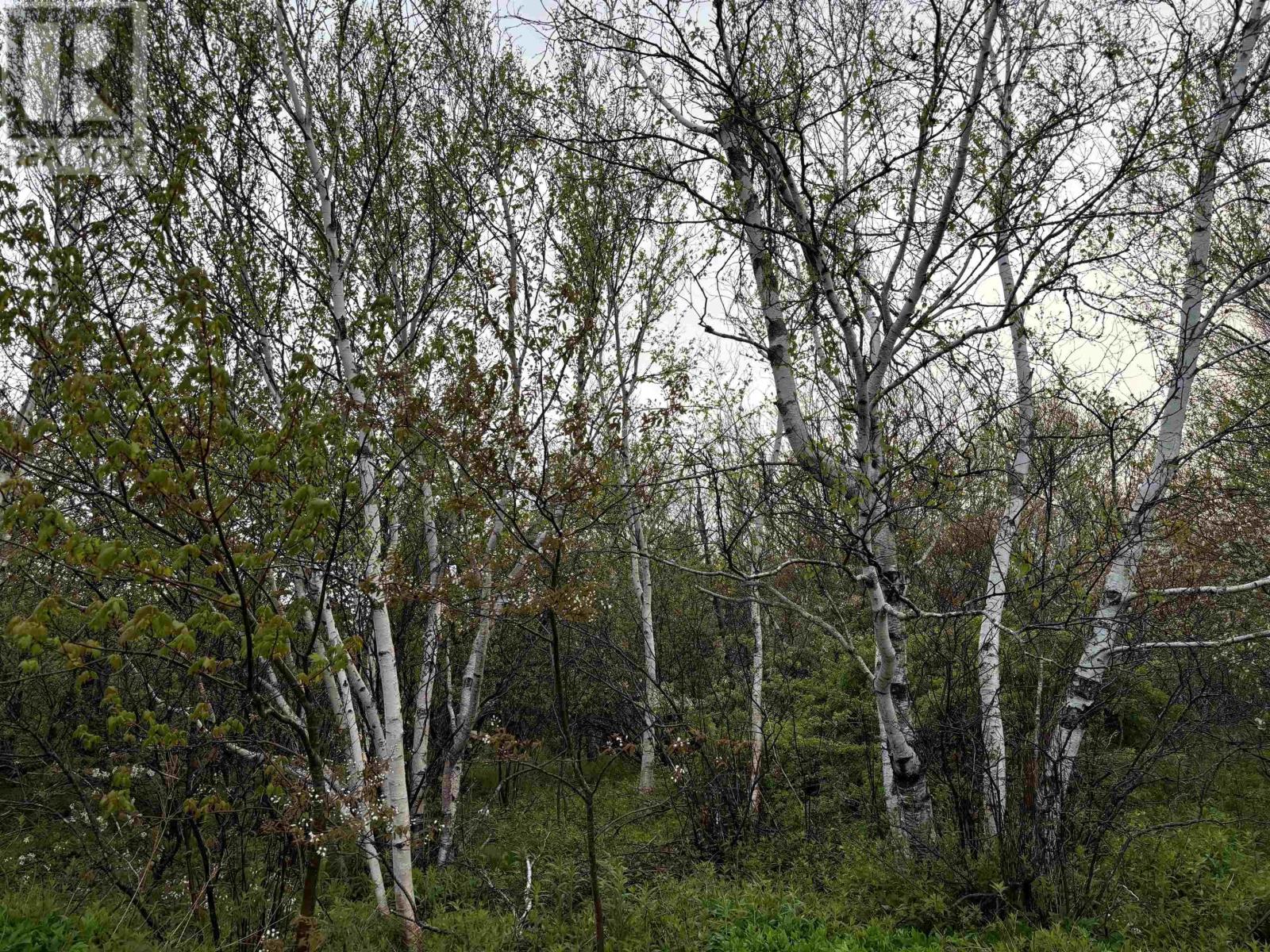 Property 5 of 5 of Turner Street