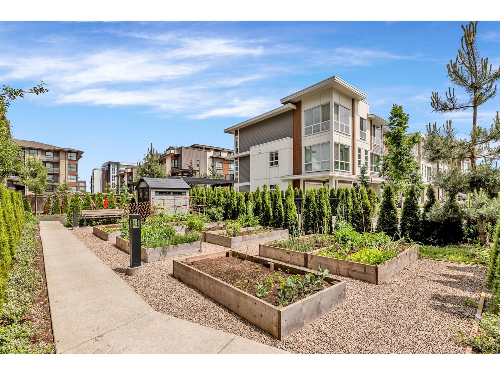 Photo 31 of 118 20829 77 A Avenue, Langley BC