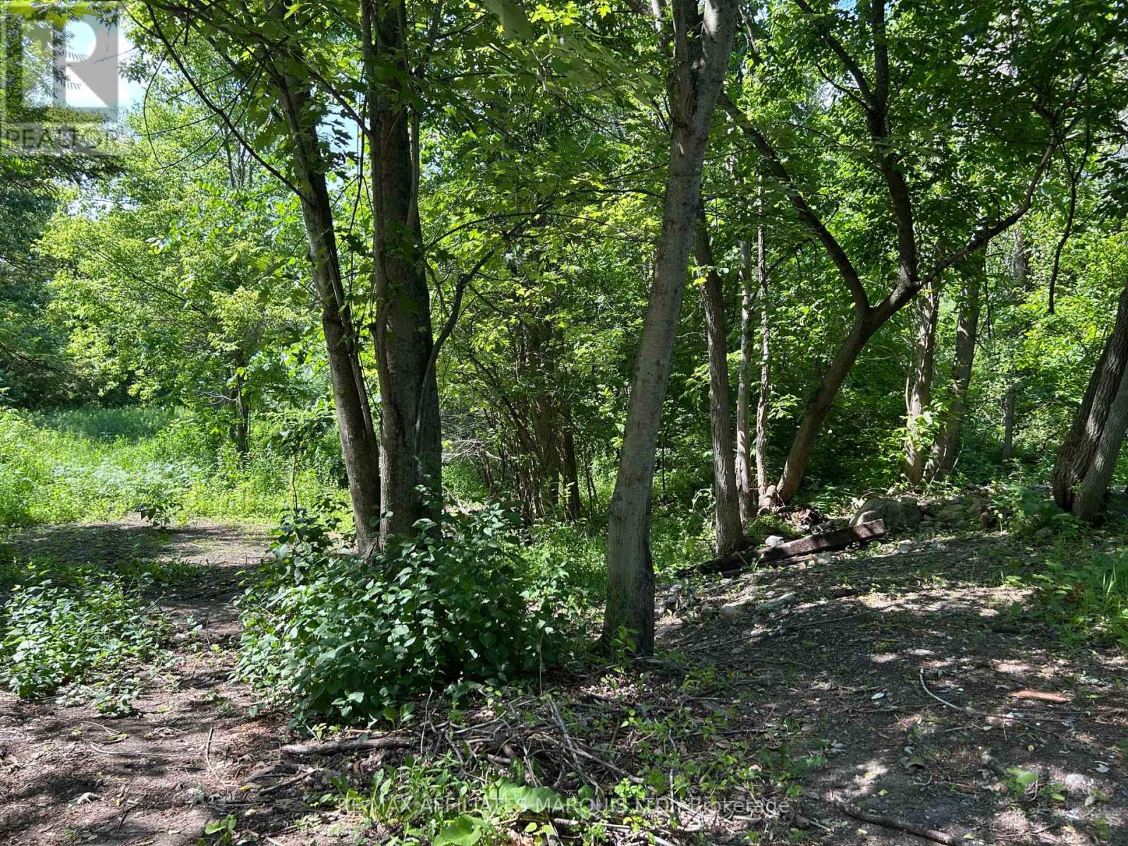 Photo 4 of 16517 Black River Road, South Stormont ON