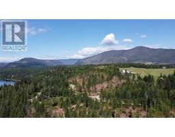 Pcl Z Squilax-anglemont Road, Anglemont, BC V0E1M8 Photo 8