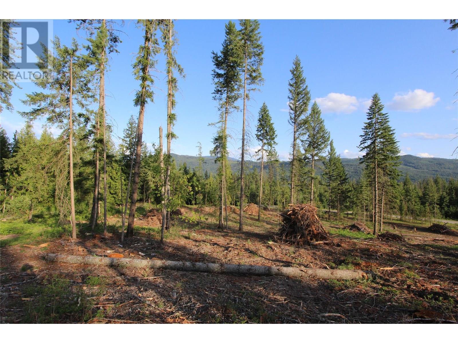 Photo 6 of Pcl Z Squilax Anglemont Road, Anglemont BC