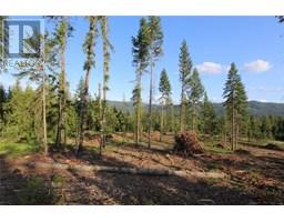Pcl Z Squilax-anglemont Road, Anglemont, BC V0E1M8 Photo 6