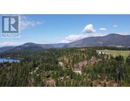 Pcl Z Squilax-anglemont Road, Anglemont, BC V0E1M8 Photo 9