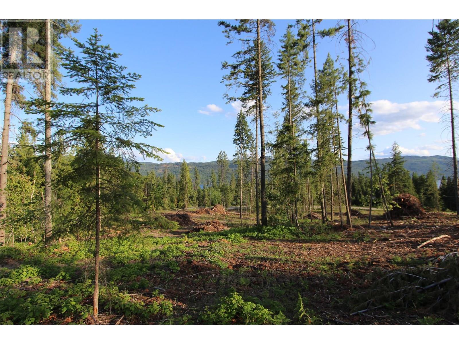 Photo 4 of Pcl Z Squilax Anglemont Road, Anglemont BC