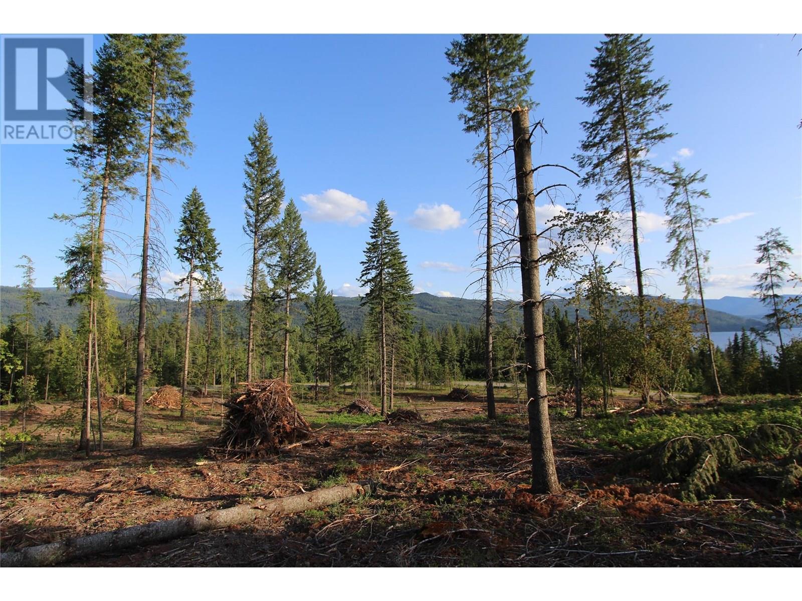 Photo 20 of Pcl Z Squilax Anglemont Road, Anglemont BC