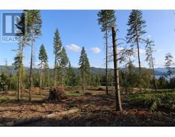 Pcl Z Squilax-anglemont Road, Anglemont, BC V0E1M8 Photo 20