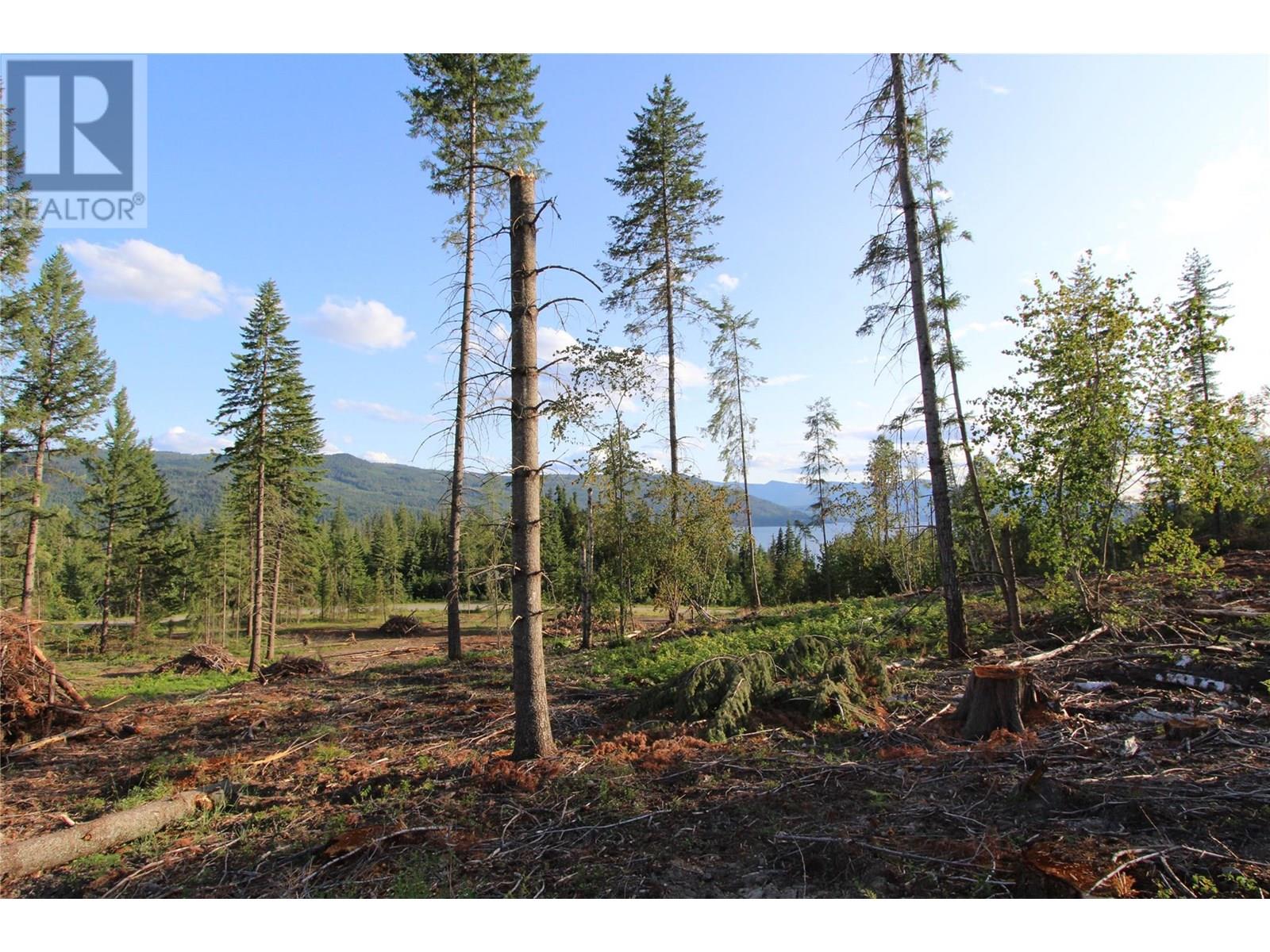 Photo 21 of Pcl Z Squilax Anglemont Road, Anglemont BC