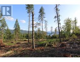 Pcl Z Squilax-anglemont Road, Anglemont, BC V0E1M8 Photo 21