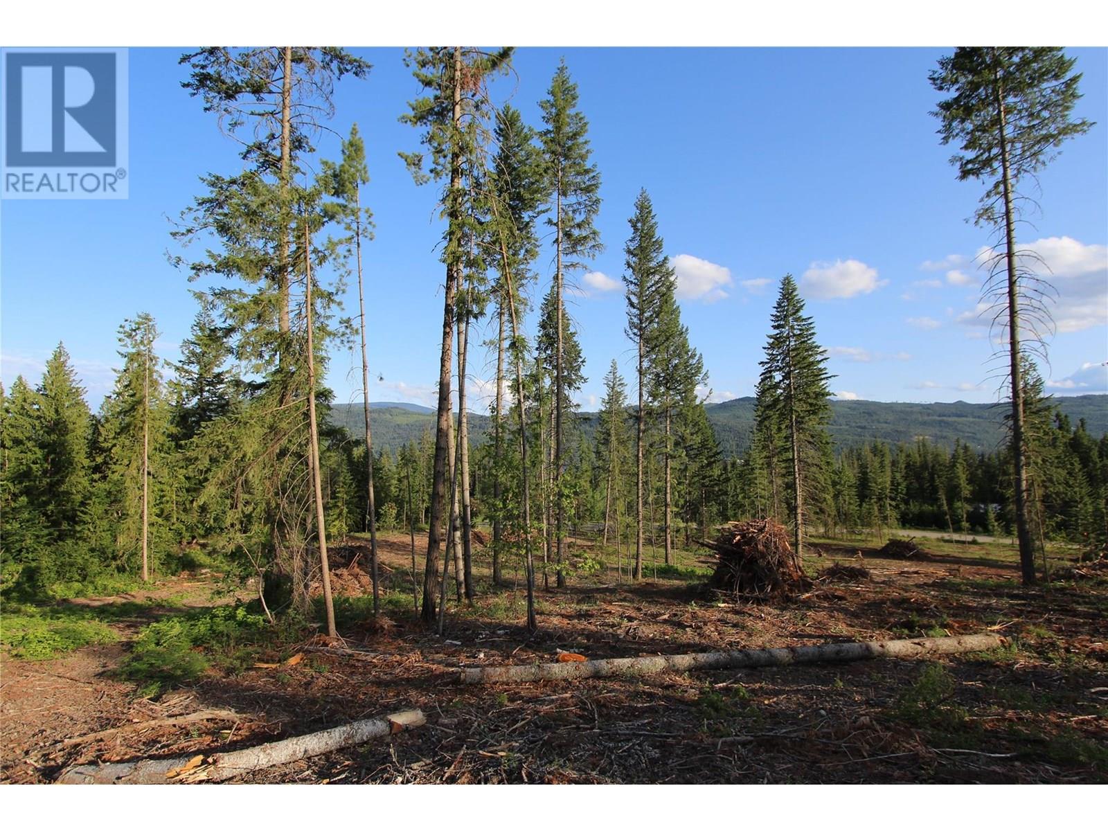 Photo 19 of Pcl Z Squilax Anglemont Road, Anglemont BC