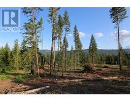 Pcl Z Squilax-anglemont Road, Anglemont, BC V0E1M8 Photo 19