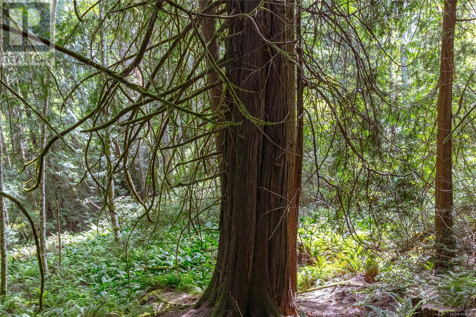 Photo 67 of 1425 Todd Lane, Metchosin BC