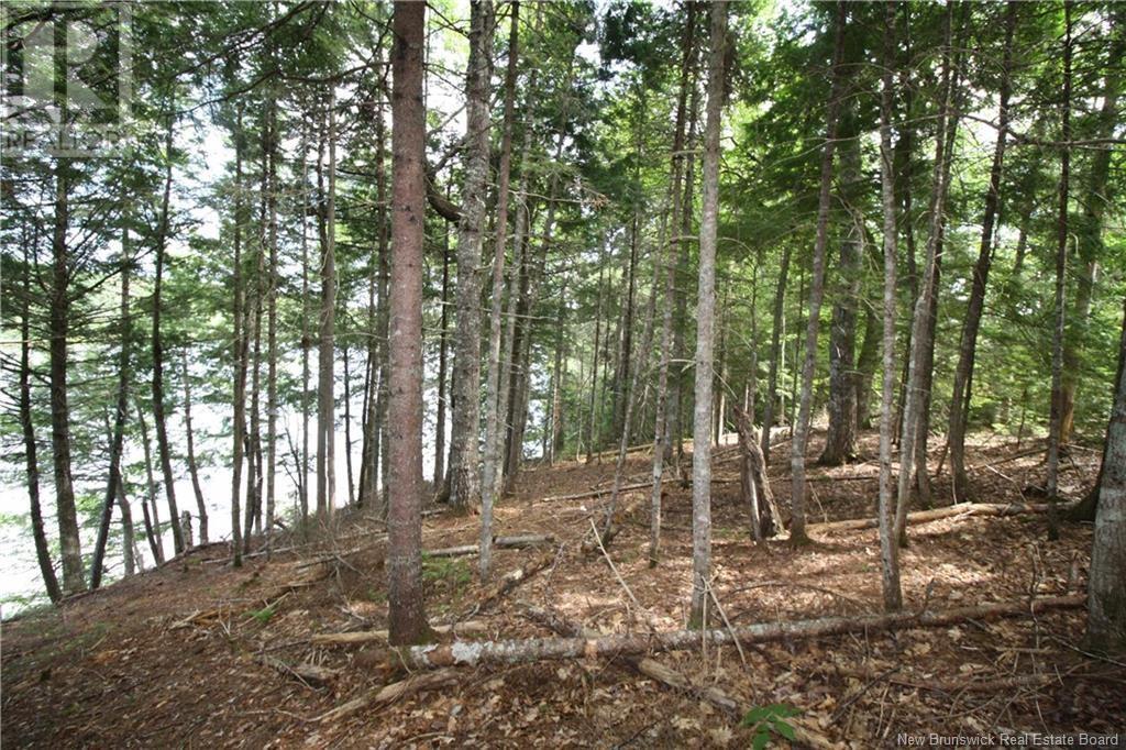 15-59 BASS RIVER POINT ROUTE - 6