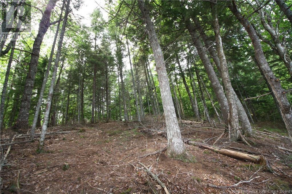 15-59 BASS RIVER POINT ROUTE - 7