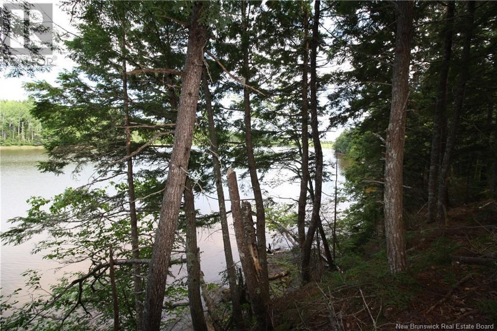 15-59 BASS RIVER POINT ROUTE - 8