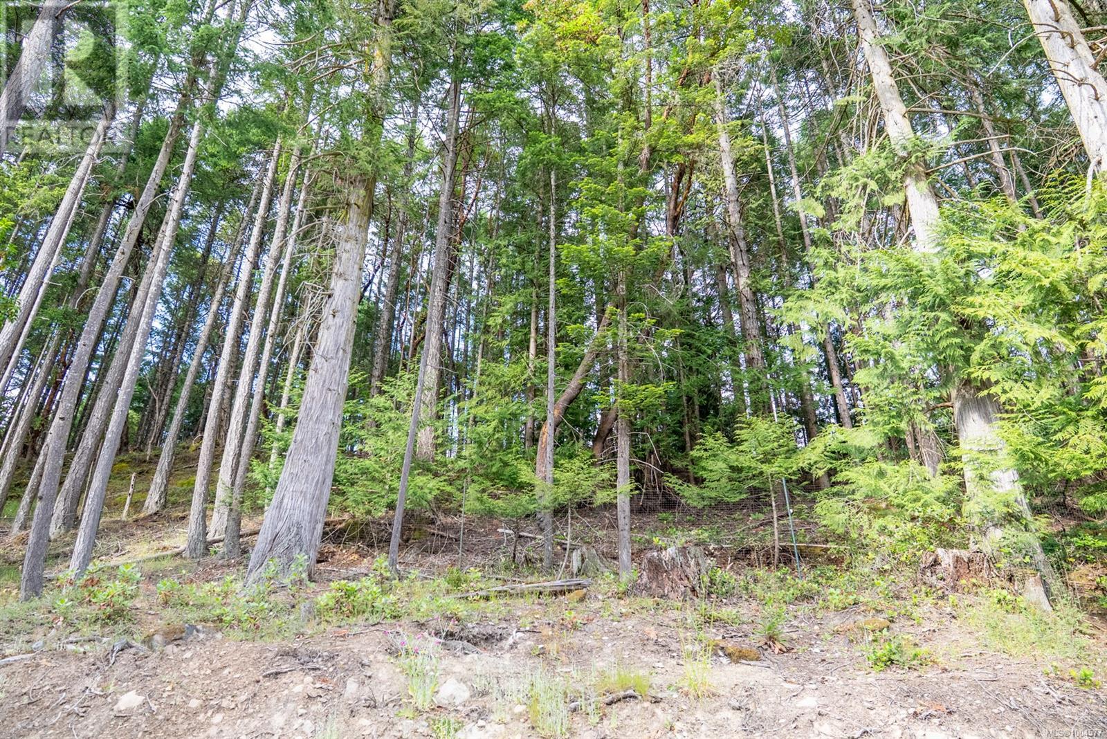 5574 Hooson Rd, Pender Island
