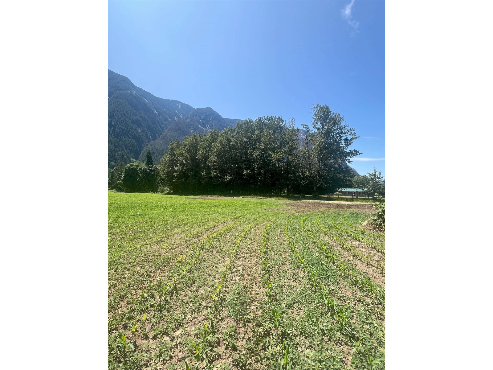 62600 FLOOD HOPE ROAD, Hope, Hope