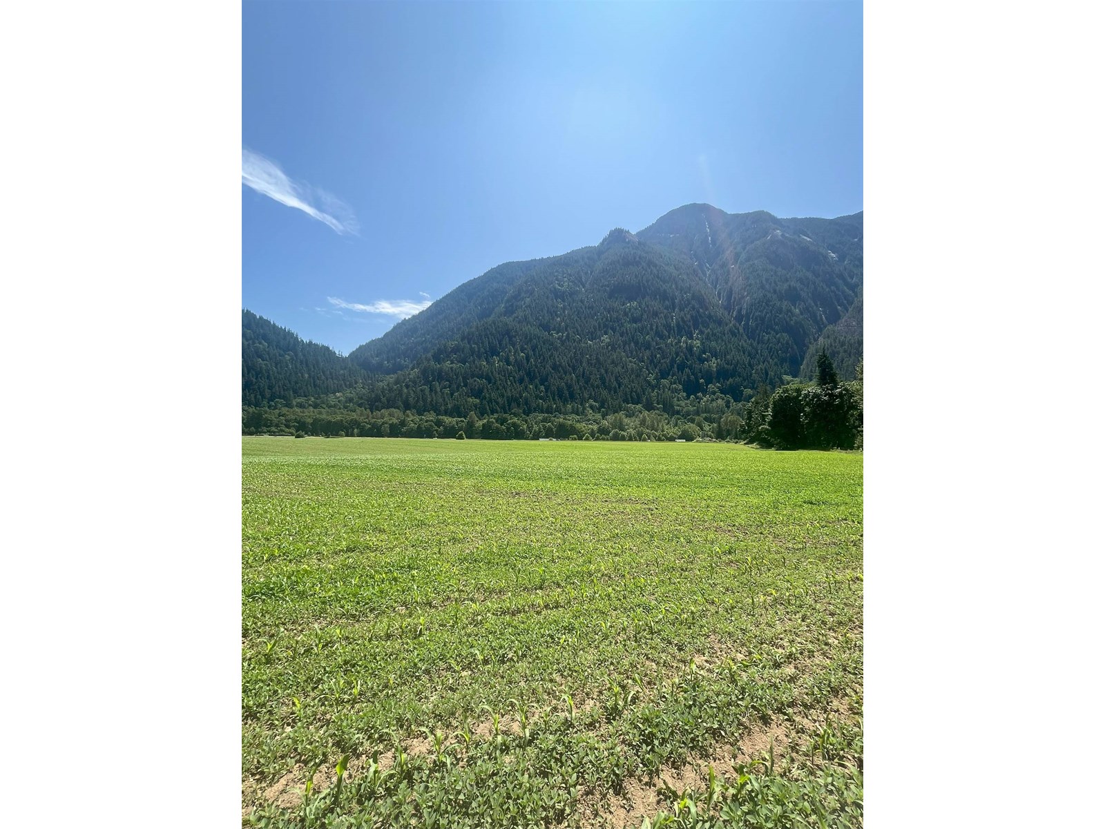 62600 FLOOD HOPE ROAD, Hope, Hope