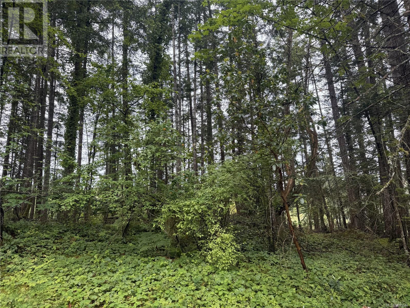 Photo 12 of 12598 Lipton Rd, Ladysmith BC