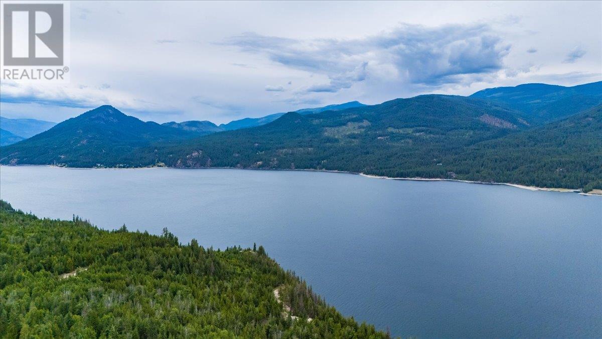 Lower Arrow Lake Other, Castlegar