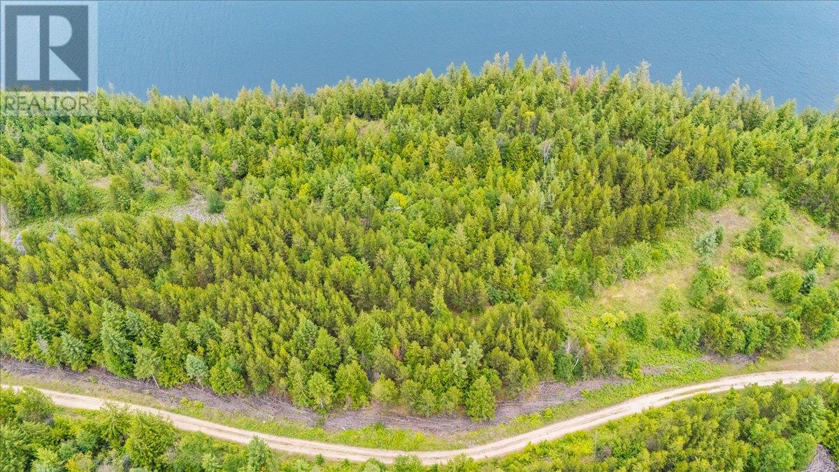 Lower Arrow Lake Other, Castlegar