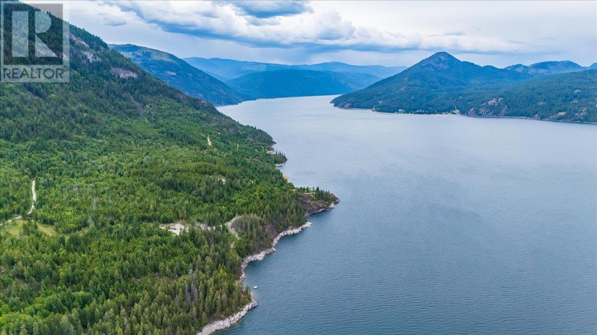 Lower Arrow Lake Other, Castlegar