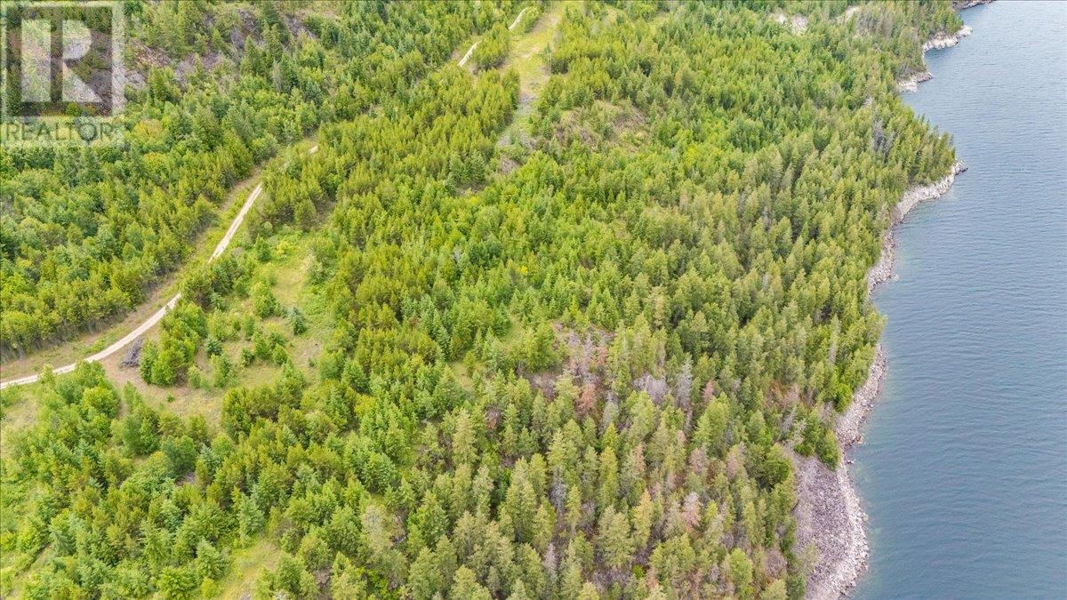 Lower Arrow Lake Other, Castlegar