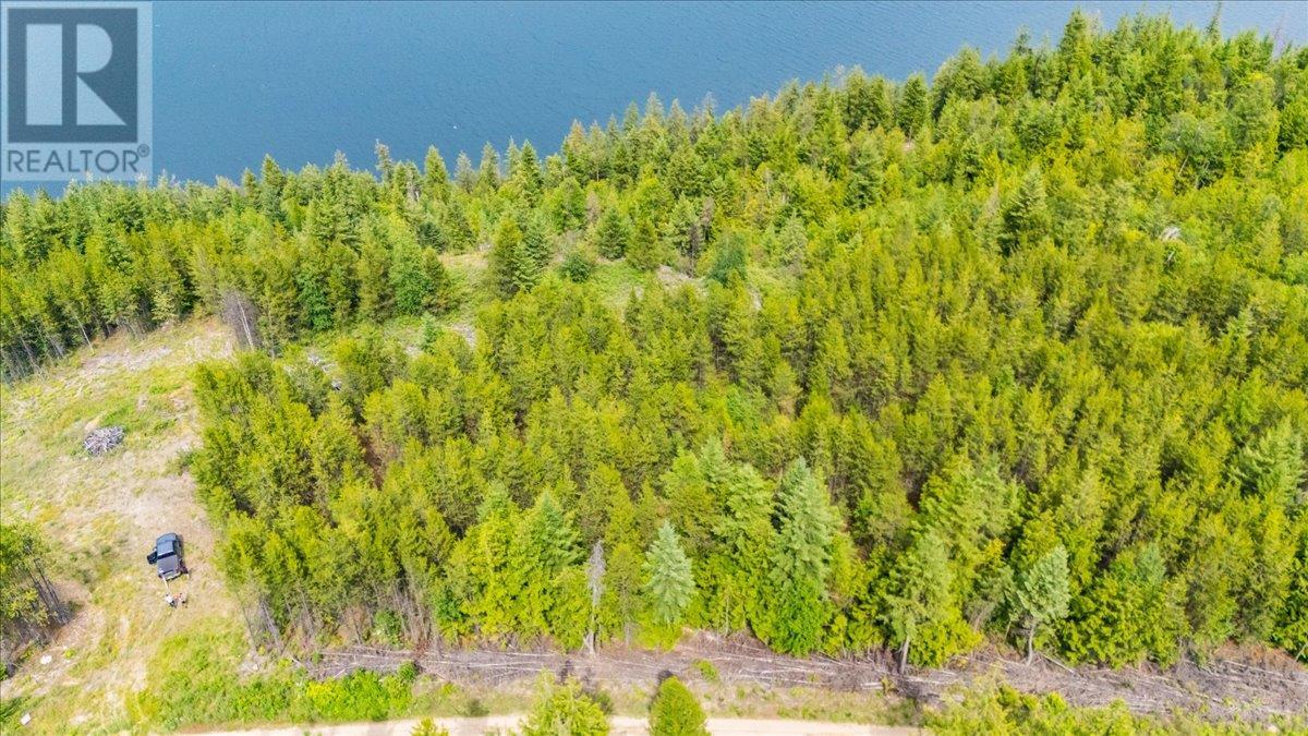 Lower Arrow Lake Other, Castlegar