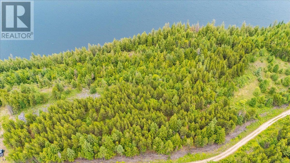 Lower Arrow Lake Other, Castlegar