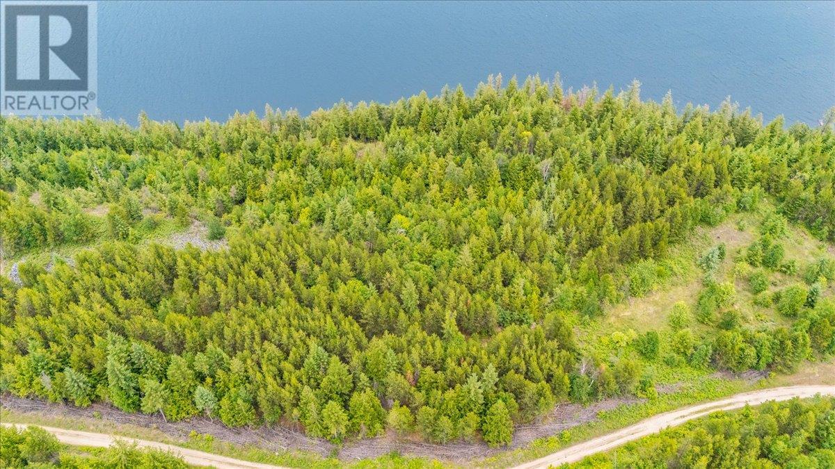 Lower Arrow Lake Other, Castlegar