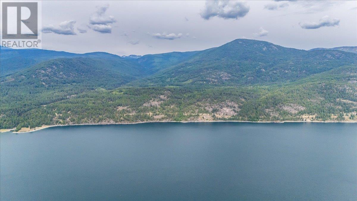 Lower Arrow Lake Other, Castlegar