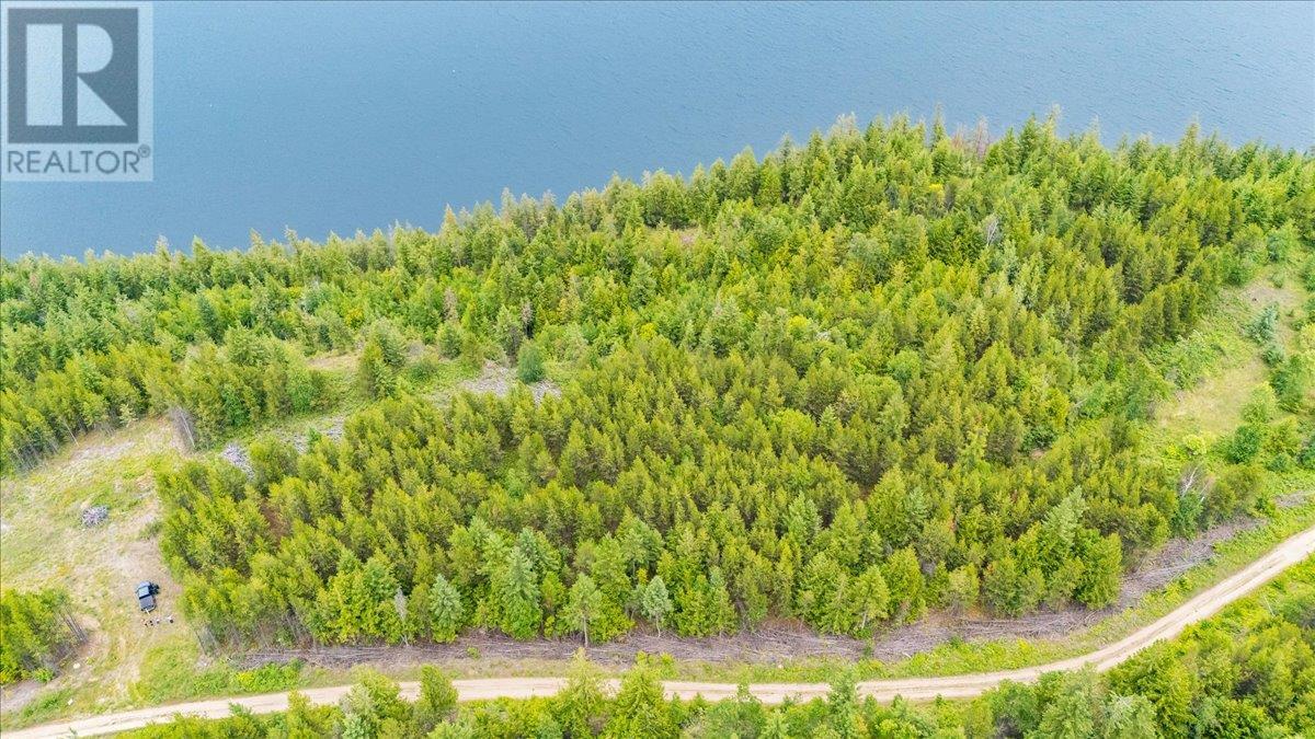 Lower Arrow Lake Other, Castlegar