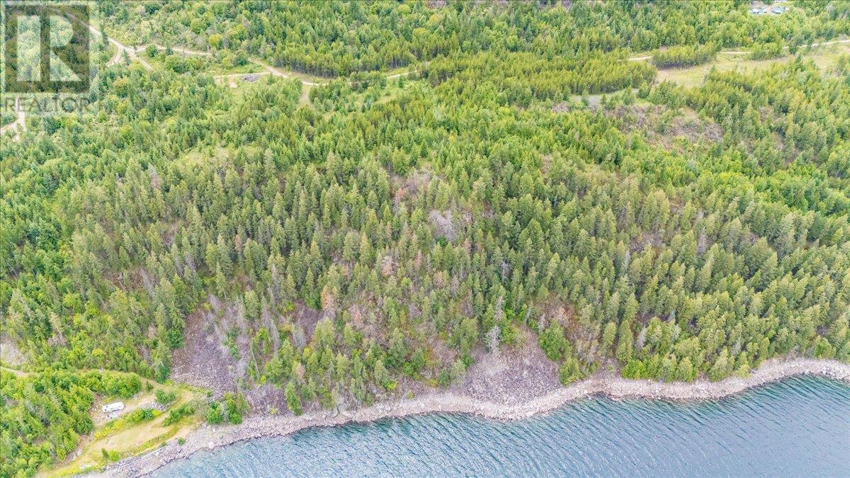 Lower Arrow Lake Other, Castlegar