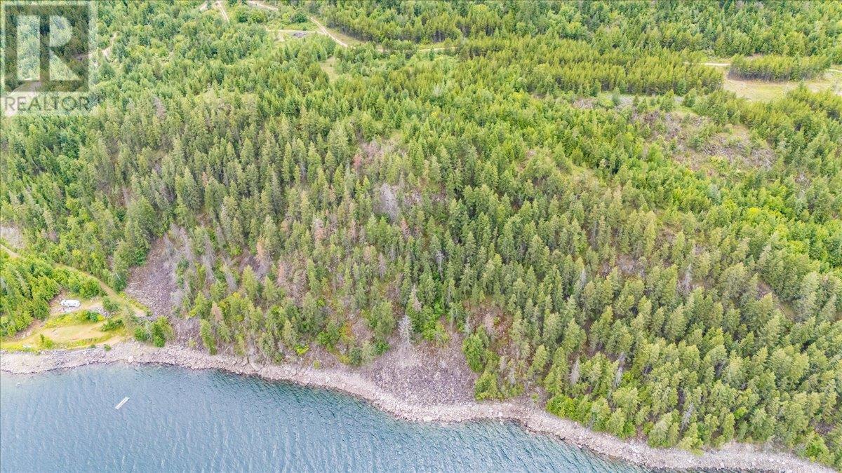 Lower Arrow Lake Other, Castlegar