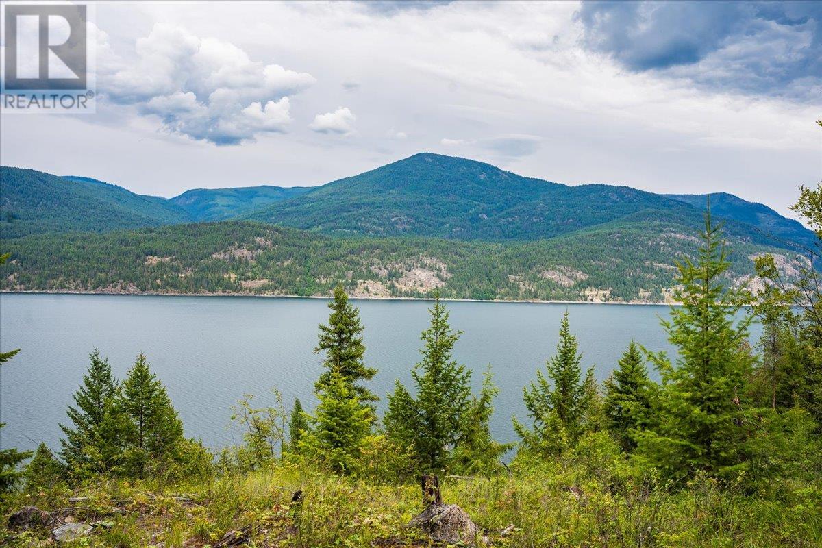 Lower Arrow Lake Other, Castlegar