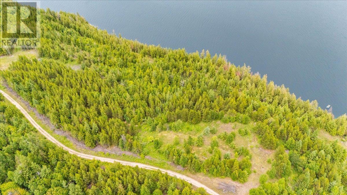 Lower Arrow Lake Other, Castlegar