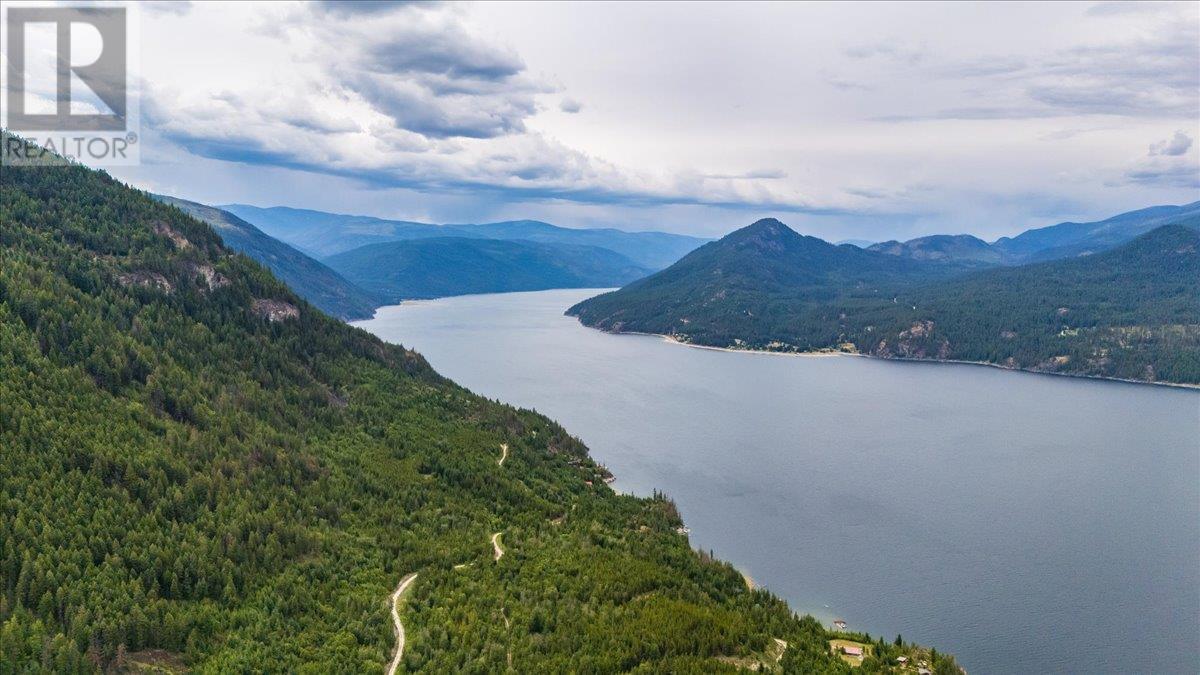 Lower Arrow Lake Other, Castlegar
