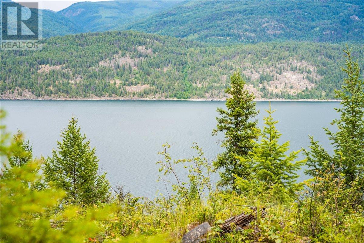 Lower Arrow Lake Other, Castlegar