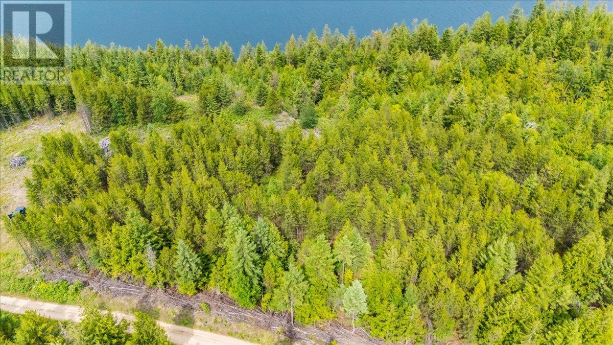 Lower Arrow Lake Other, Castlegar