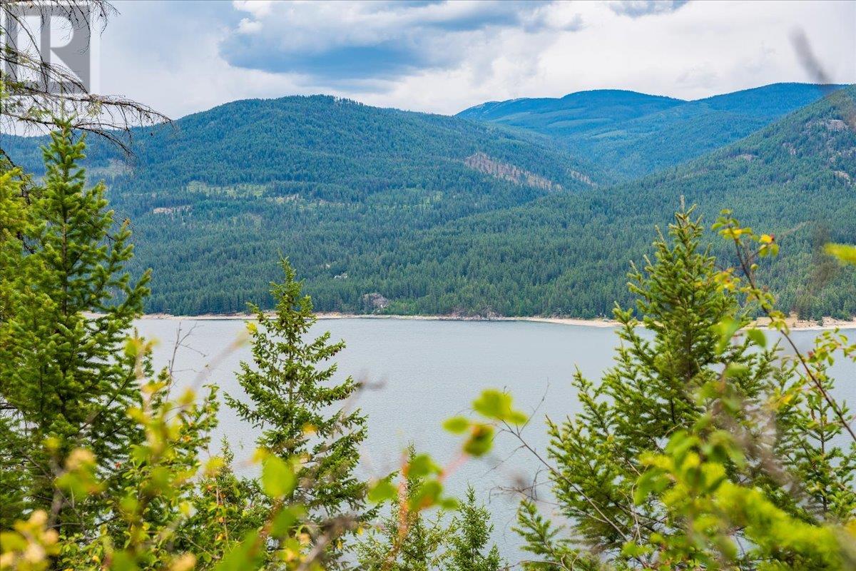 Lower Arrow Lake Other, Castlegar