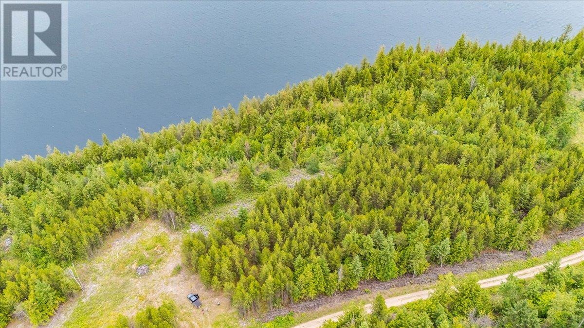 Lower Arrow Lake Other, Castlegar